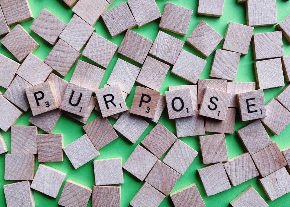 purpose-3959411.jpg